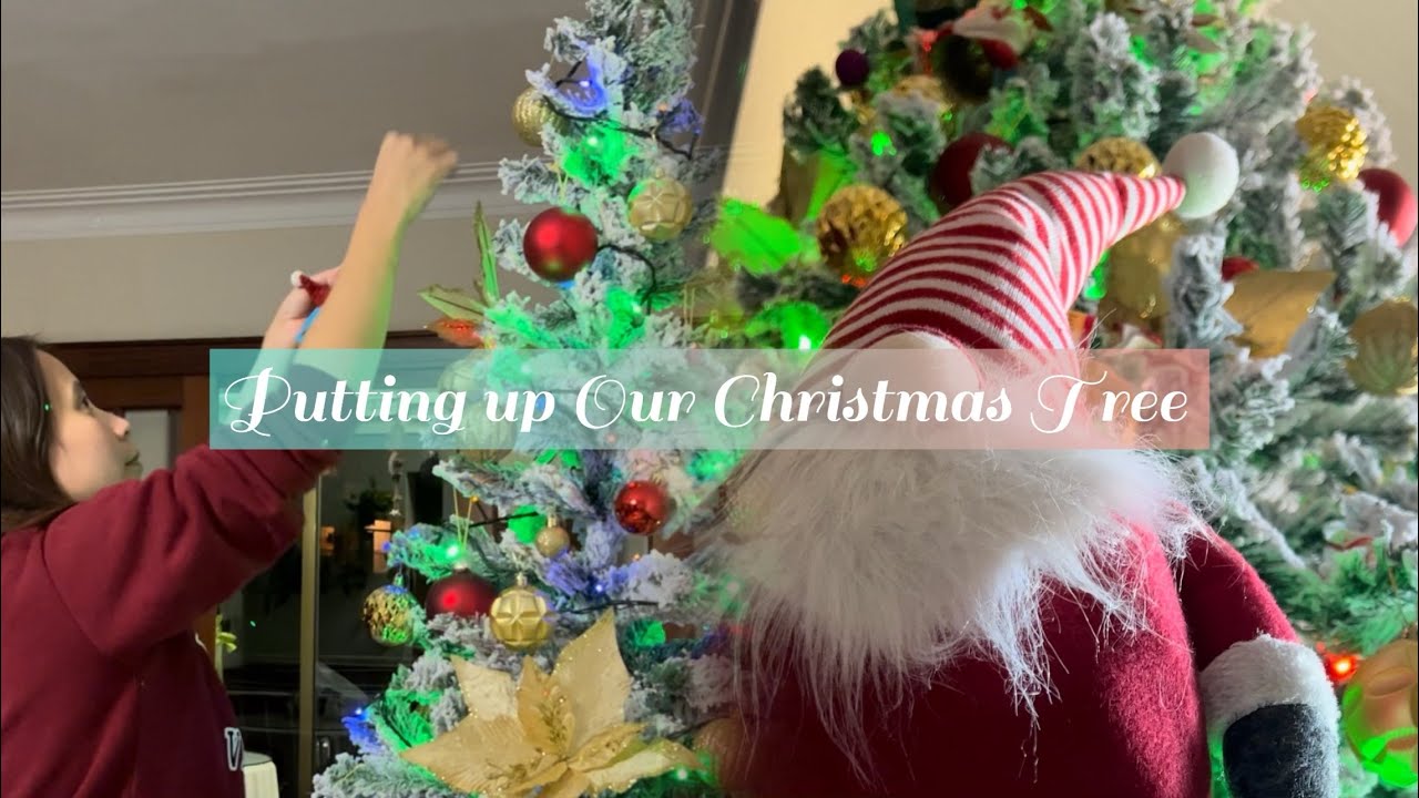 Putting up Our Christmas Tree - YouTube