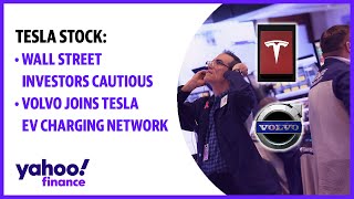 Tesla Stock egregiously Overvalued Says Analyst