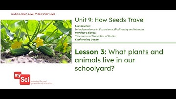Unit 9 Lesson 3 Video