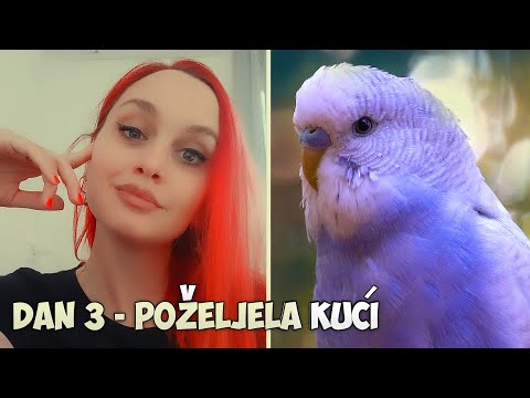 Otišla sam u Beč zbog Tigrica