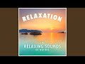 Capture de la vidéo Relaxation (New Age) (Nature)