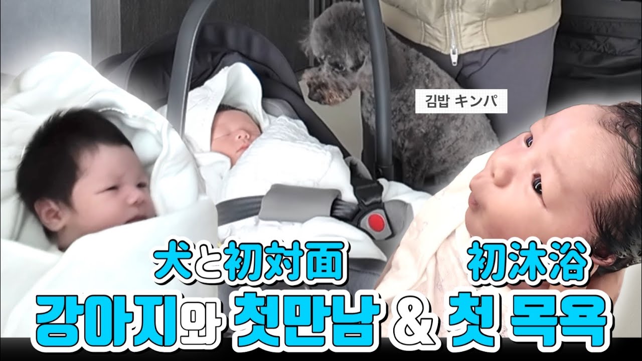 강아지와 첫만남&아빠와 첫 목욕하는 하루 표정! 犬と初対面&パパと初沐浴するハルの表情!