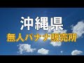 沖縄に行ったらバナナを食べましょうねバナナね美味しいバナナね