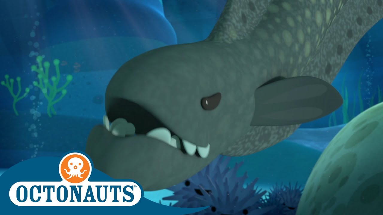 Summer Octonauts That's a Moray! Cartoons for Kids YouTube
