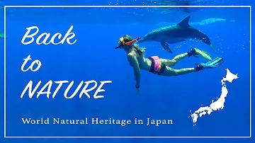 Back to NATURE | World Natural Heritage | JAPAN