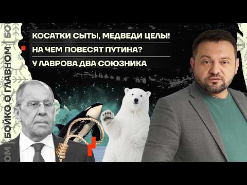 Youtube видео
