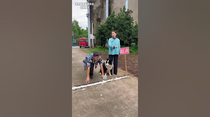 Chinese couple keeps laughing in comedy