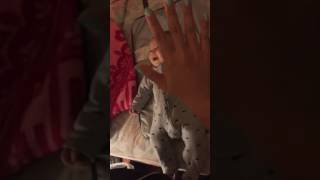 Contagious Baby Laugh