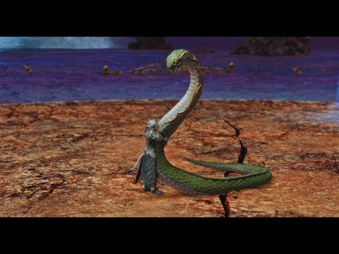 FFXIV 青龍 無介面+DX11最高品質