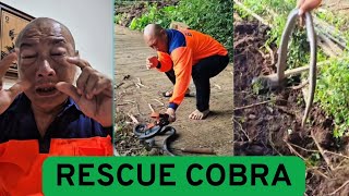 COBRA RESCUE TURNS DISASTROUS, HERU GUNDUL'S EYE SWOLLEN AFTER BEING SPRAYED WITH COBRA VENOM