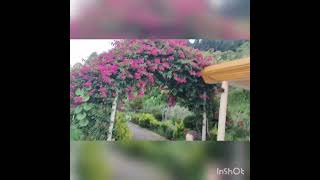 Ashram 3Ashram 3 Trailerashram Movie Scene Romantic