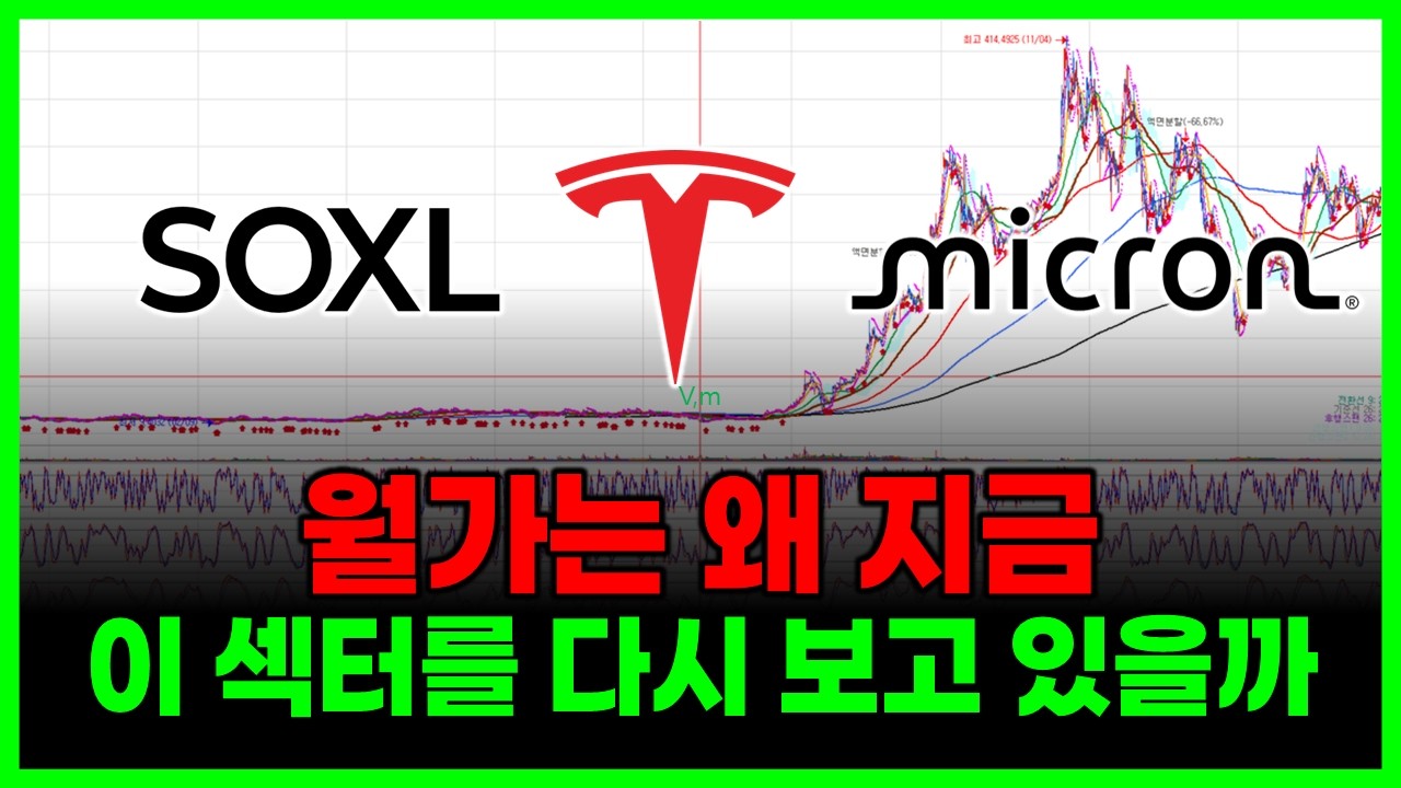 월가는 왜 지금 이 섹터에 올인을 하고 있는가? (마이크론 SOXL 테슬라 엔비디아 SK하이닉스