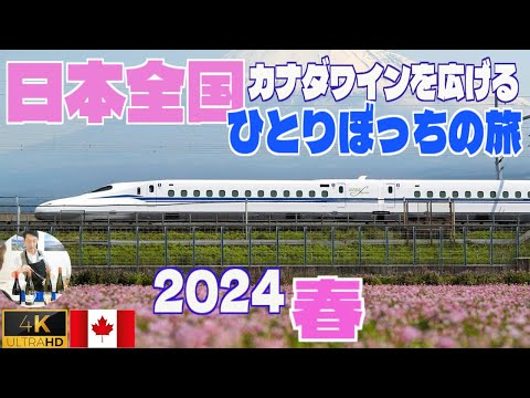 【完全版】百戦錬磨！　2024 春・日本全国カナダワインを広げる一人ぼっちの旅