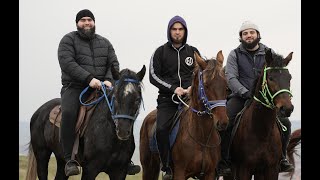 Конный поход на терский хребет в Грозном. РАНЧО АЛДАМА