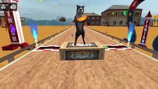 Dog racing best super android ios mobile cool full videos games#shorts #shortvideo screenshot 5