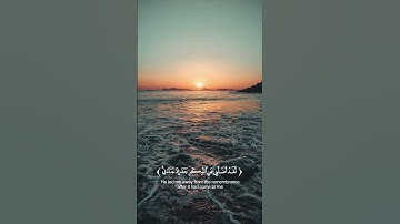 [الفرقان: ٢٧-٢٩]...القارئ: محمد النقيب...اللهم ارحمنا وثبتنا على دينك