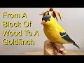 Carving A Bird - Making An American Goldfich From Tupelo Wood