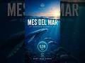 🐠 4 Datos de Peces que NO Conocías 🌊😱 #naturaleza #mesdelmar #ocean #musicoterapia #ballena #🧠