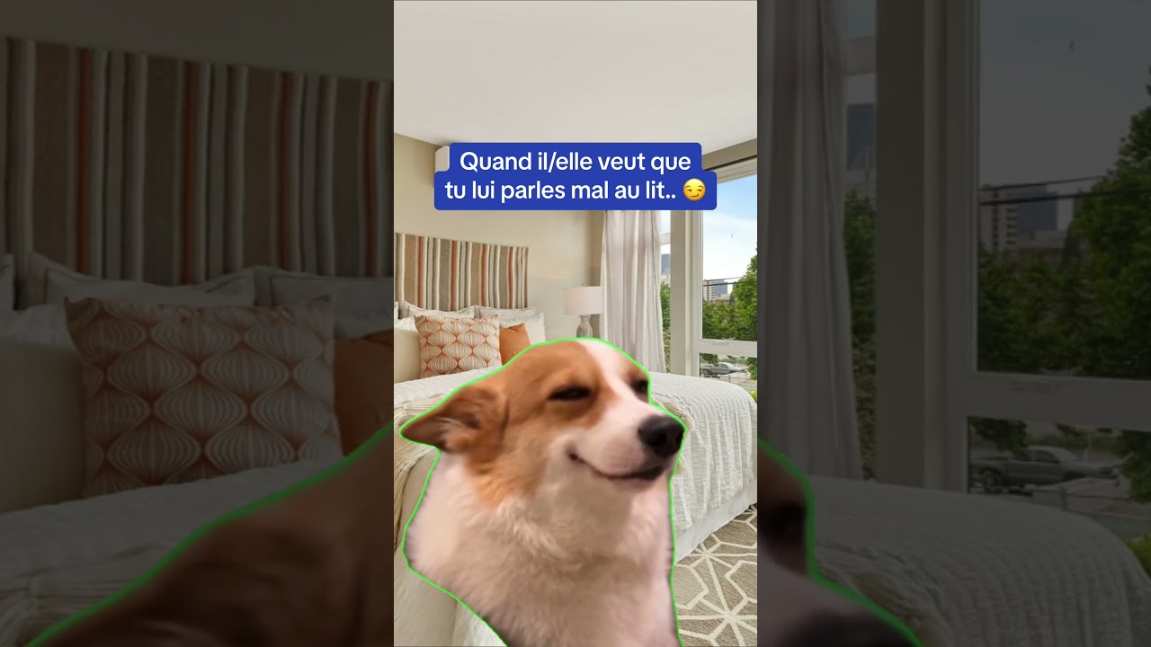 Chacun ses préférences au lit 😌