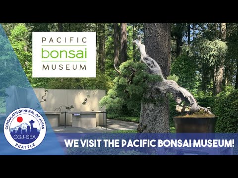 Pacific Bonsai Museum