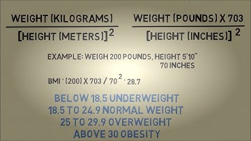 The Body Mass Index Formula   The Magic of Mathematics
