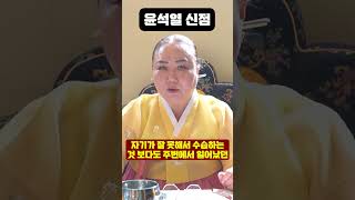 무당에게 윤석열 사주만 드리고 어떤지 물었더니...