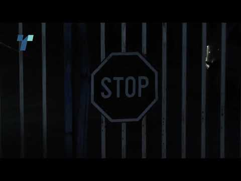 Од првичните 27 тони, запленетата марихуана во Скопје и во Струмица достигна 40 тони, дознава Телма