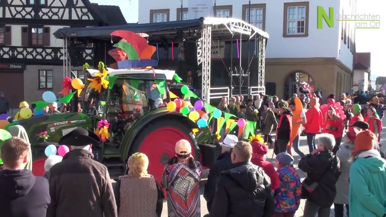 Faschingsumzug Hallstadt 2023 | NachrichtenamOrt.de