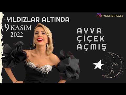 Ayşen Birgör |