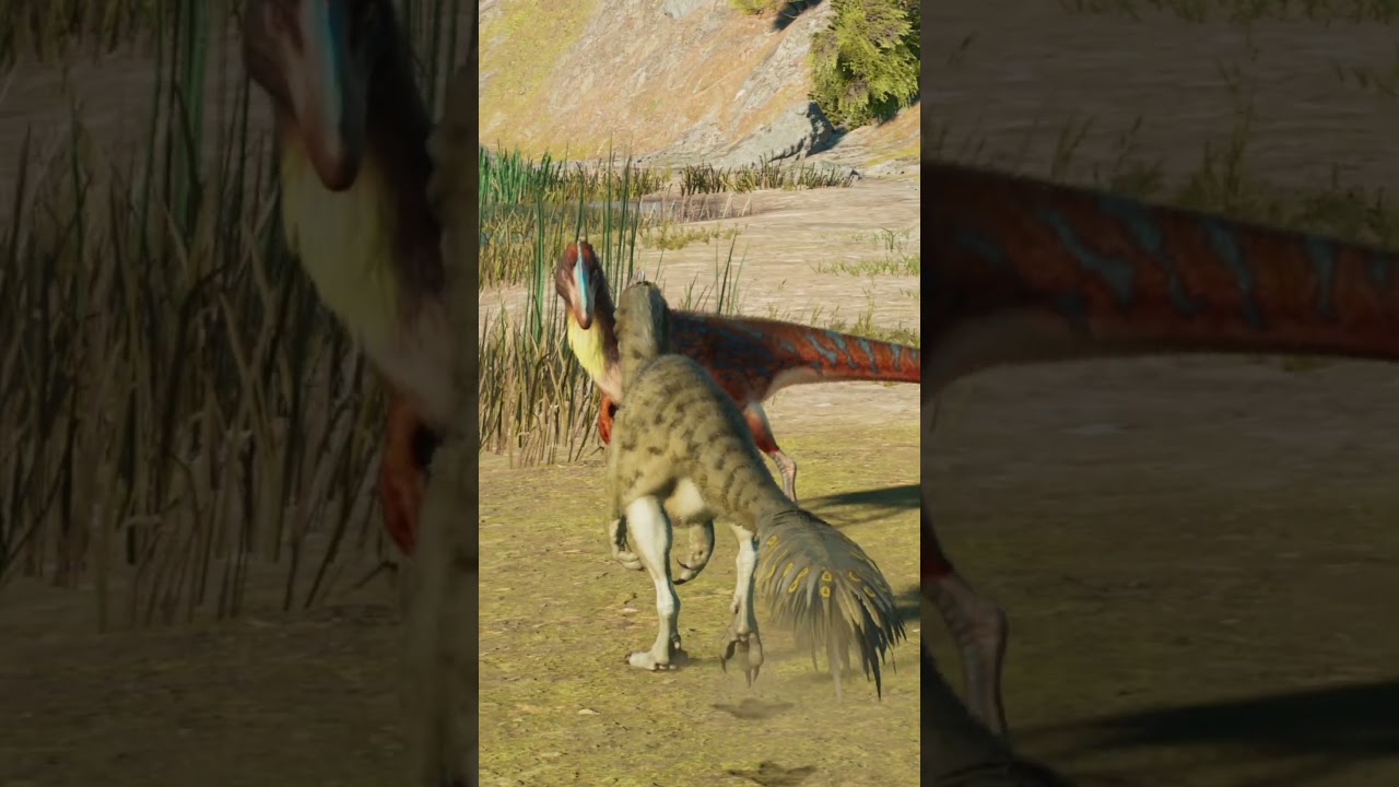 Guanlong Social Animation 