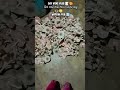 ଆଜି ଆମେ କିସ ପାଇଁ bhdrak ଗଲୁ 🙄watcha for 🔚