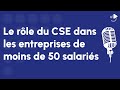 Quel est le rle des cse dans les entreprises de moins de 50 salaris 