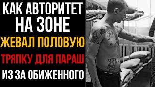 картинка: ОБИЖЕННЫЙ ЗАСТАВИЛ АВТОРИТЕТА ЖЕВАТЬ ПОЛОВУЮ ТРЯПКУ l Колония Жизни