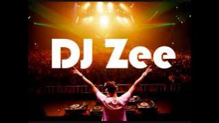 Download lagu DJ Zee - Electro House Mix #2 (2013)