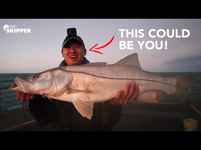 HOW TO CATCH HUGE FISH FROM THE PIER! (Simple & Easy