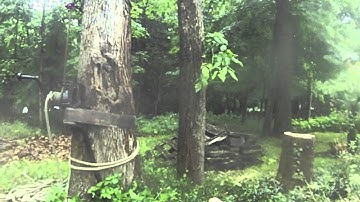 Rigging Whole Tree with the GRCS: TreeStuff.com Tech Tips