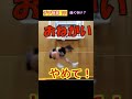 チア短部112，Scary!! 恐怖の瞬間！マジ勘弁！