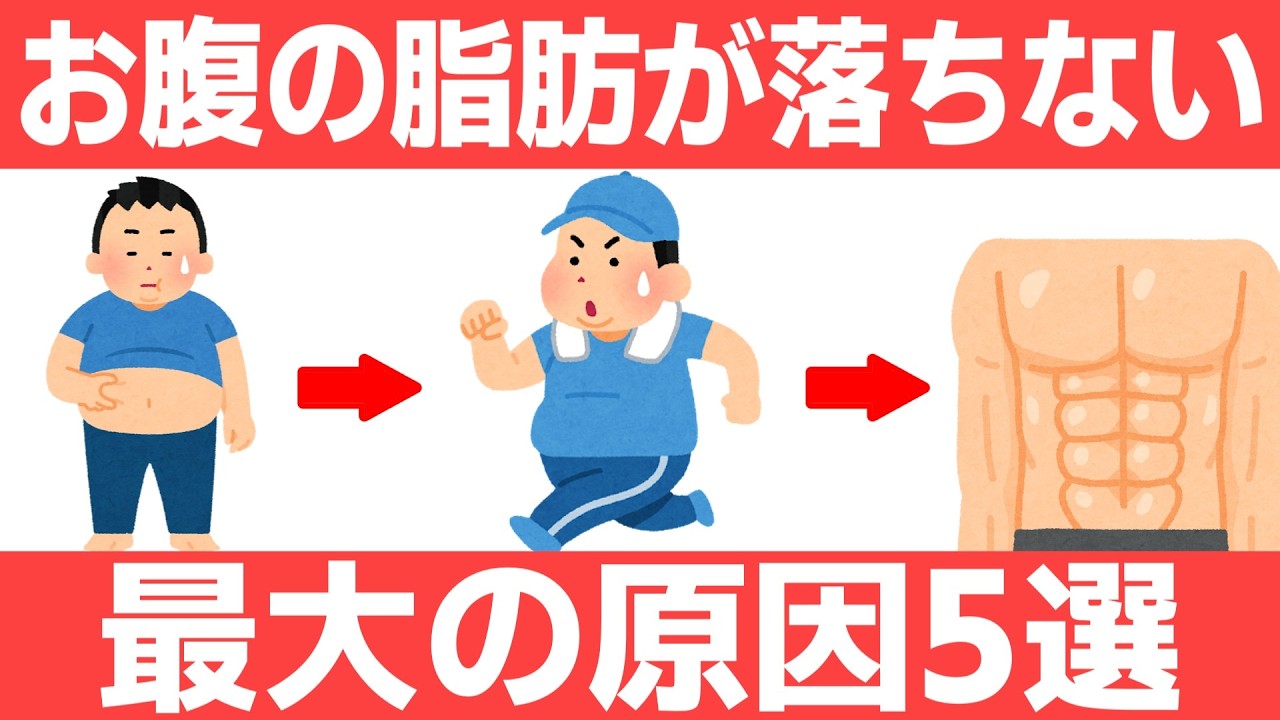 あなたのお腹の脂肪が落ちない最大の原因5選