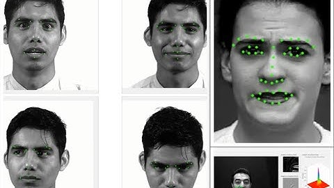 Facial landmark detection and tracking with dynamically adaptive matched filters