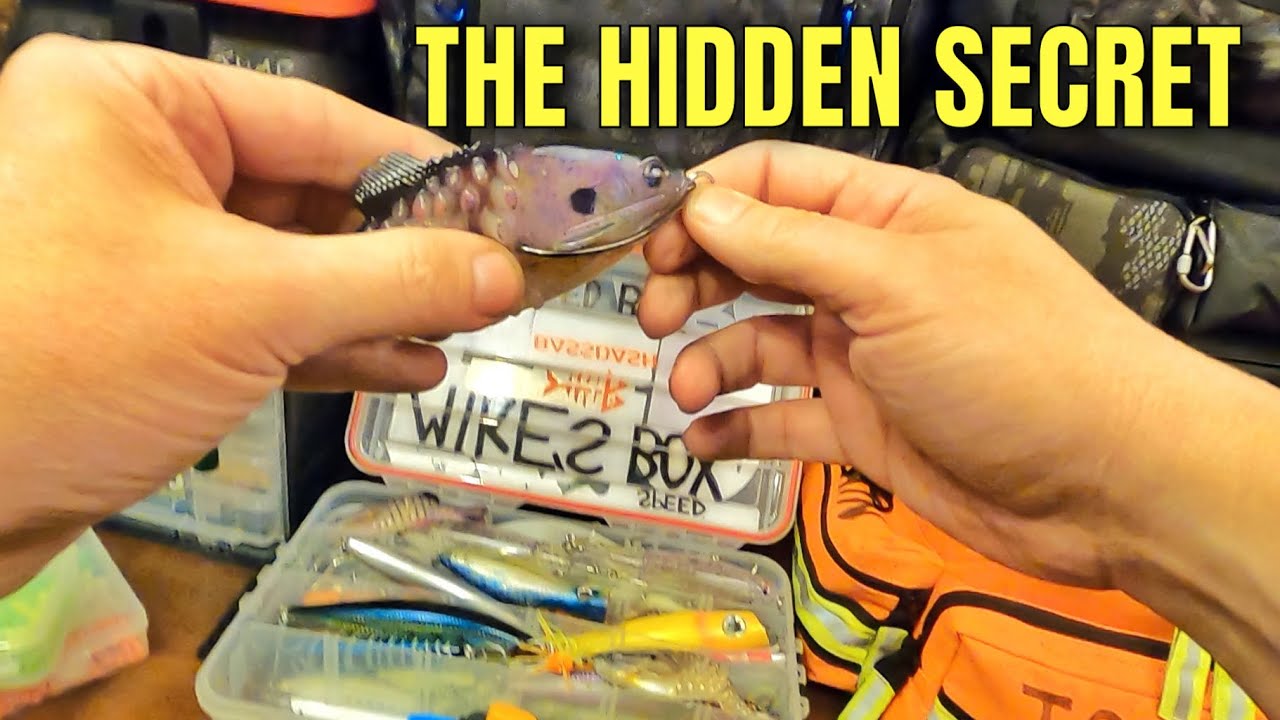Striper Fishing Rig SO SIMPLE it changes EVERYTHING! Live Bait Cut Bait