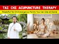 Tai Chi Acupuncture Therapy: Ancient Healing Secrets You Must Know