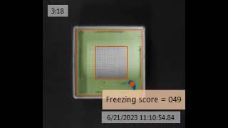Open Field Test : Any Maze Software Tracking System