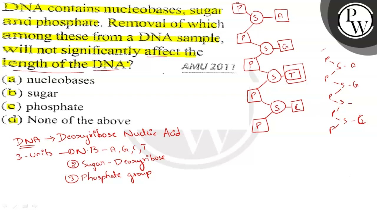 DNA contains nucleobases, sugar asad phosphate. Removal of which
\(...