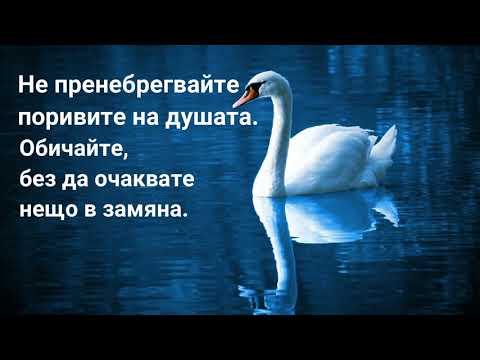 Видео: Афоризми за живота със смисъл. Кратки цитати и статуси