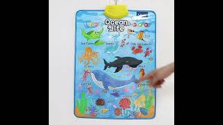 Learn Alphabet Letters Fast Interactive Wall Chart Method