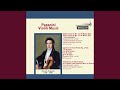Miniature de la vidéo de la chanson Violin Concerto No. 1 In D, Op. 6: Ii. Adagio