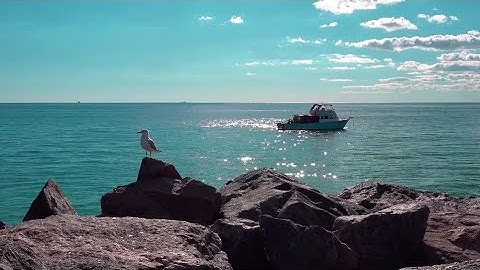 سورة الحشر كاملة | جزء قد سمع | احمد اسامة Surah Al-Hashr by Ahmed Osama