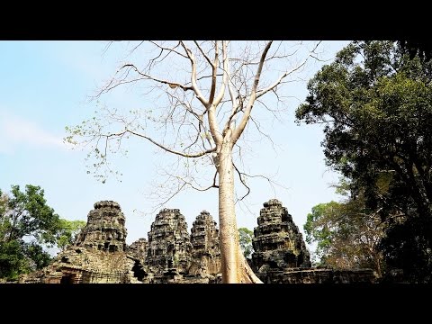 Video: Angkor, Kambodža - Matador Network Svētie Tempļi