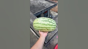 Experiment: Will a watermelon explode if it rolls off a tall building? 🍉💥#short