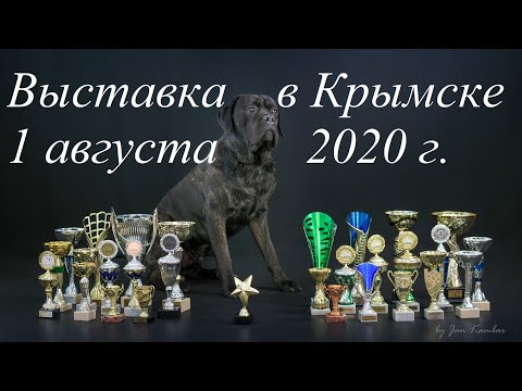 Видео: Посетите нас на выставке Global Pet Expo!